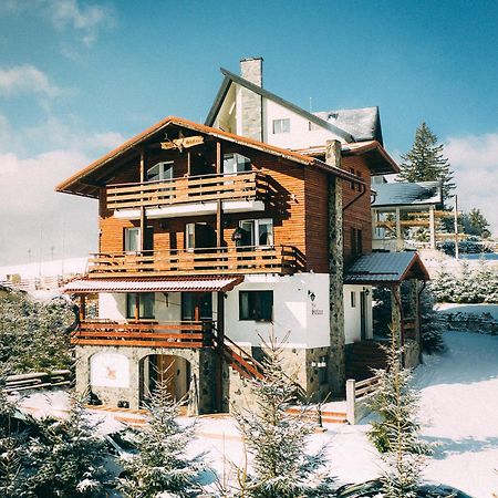 Vila Stefana Păltiniş Exteriér fotografie