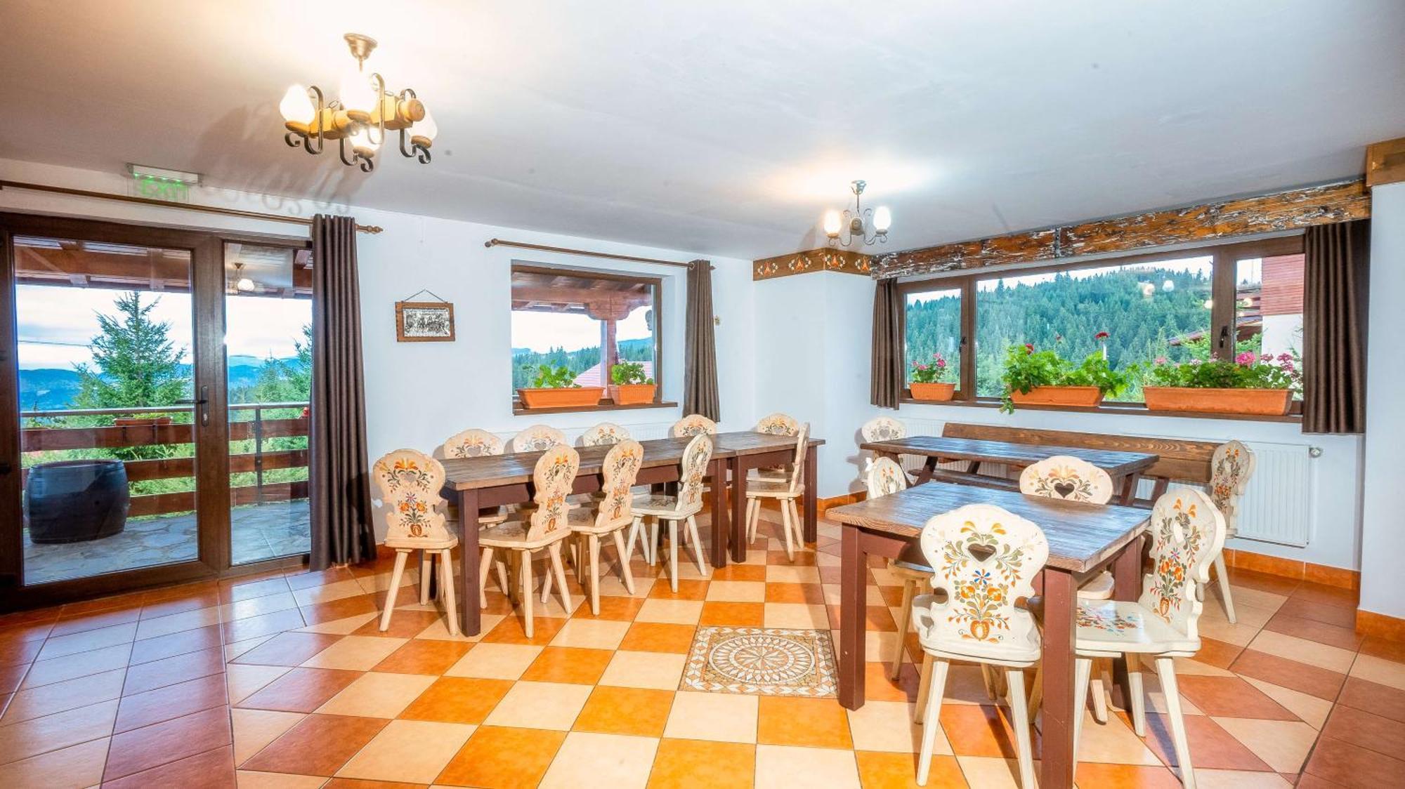 Vila Stefana Păltiniş Exteriér fotografie