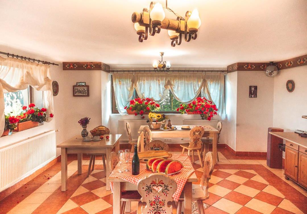 Vila Stefana Păltiniş Exteriér fotografie