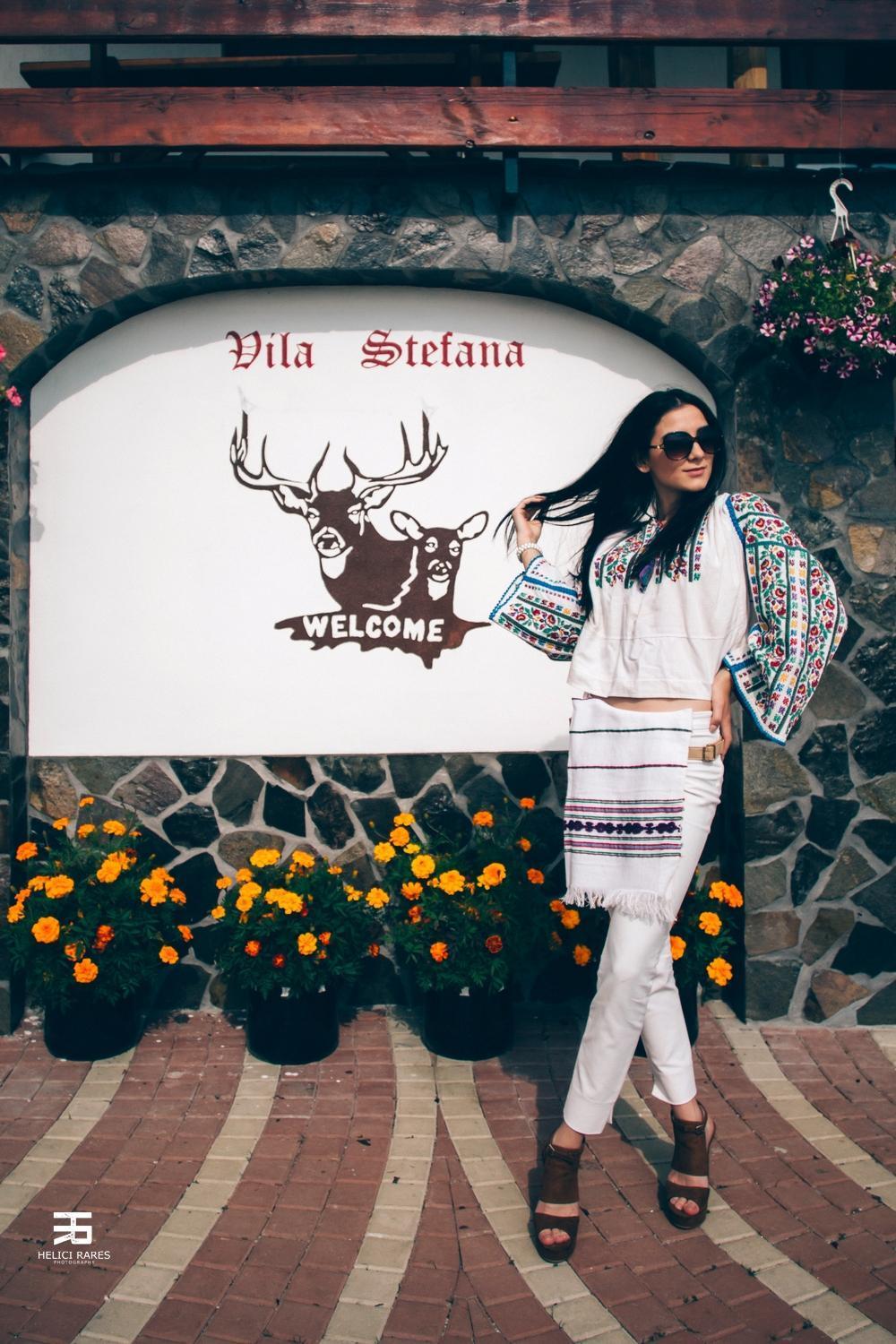 Vila Stefana Păltiniş Exteriér fotografie